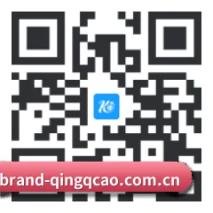 iOS 果粉吃瓜版 二维码